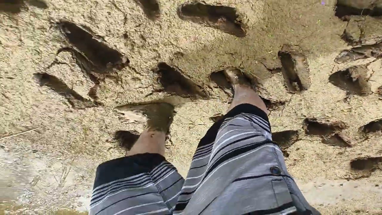 Barefoot in Mud (2025-12-16 11-20-00)