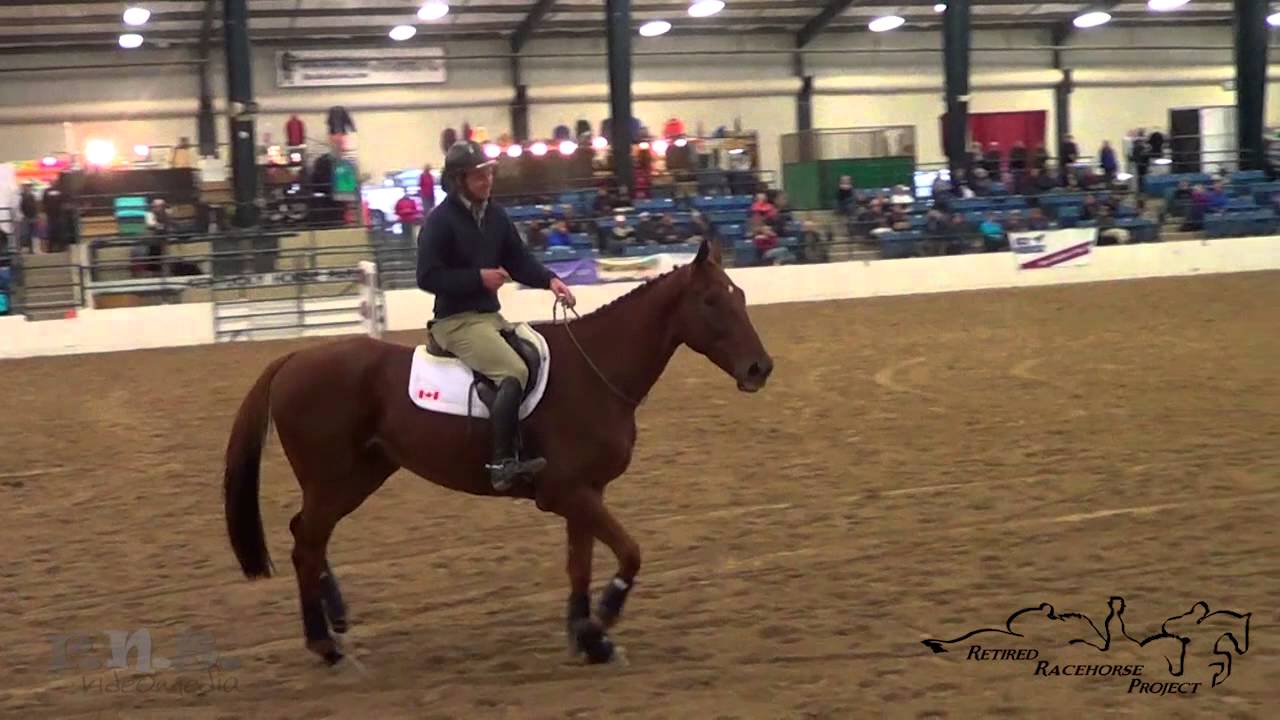 Tik Maynard & Mr. Pleasantree Retired Racehorse Project Makeover Finale 2015