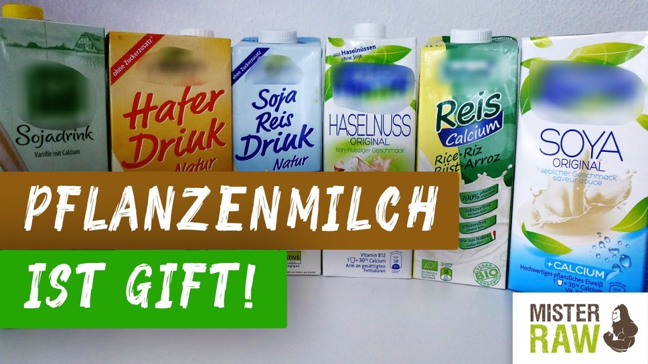 Fertigmilch ist Gift - Mit 3 Zutaten zur selbstgemachten Milch - Ohne mixen Roh - Vegan - Ketogen