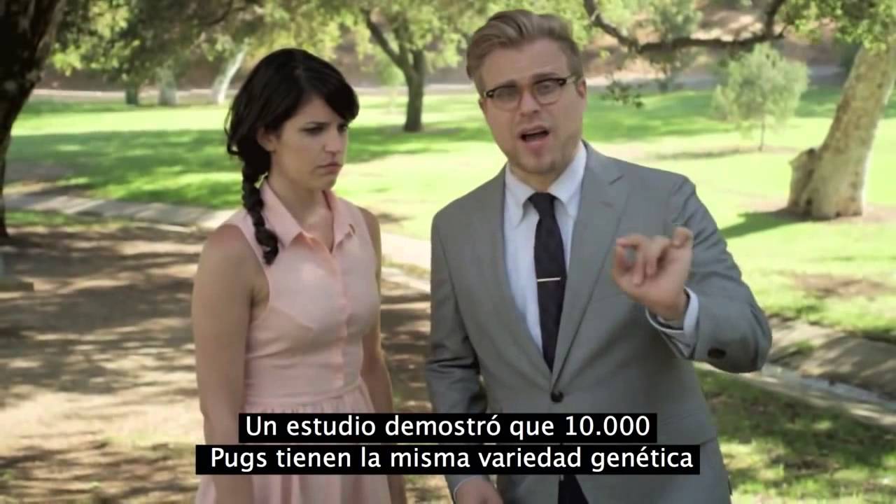 &iquest;Razas caninas?