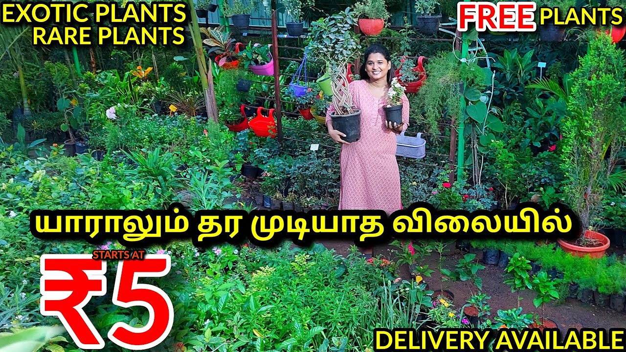 ரு5 முதல்..ஒரு செடியாக இருந்தாலும் டெலிவரி / Best and Cheapest Nursery /in door &out door planets