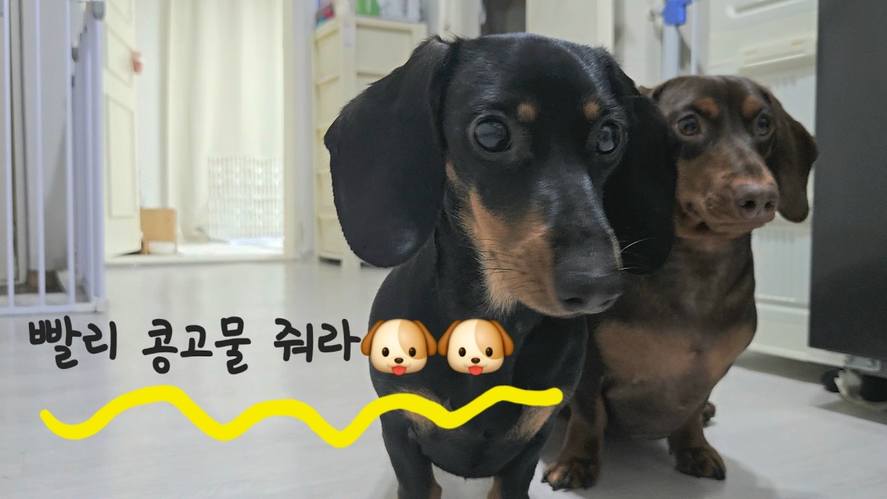 죽지도 않고 돌아온 화식데이 (노동의날)