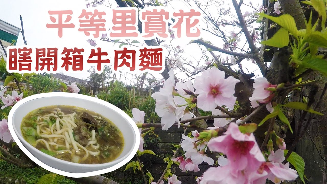『原伊』平等里賞花 |瞎開箱牛肉麵| _2017.04.16  vlog