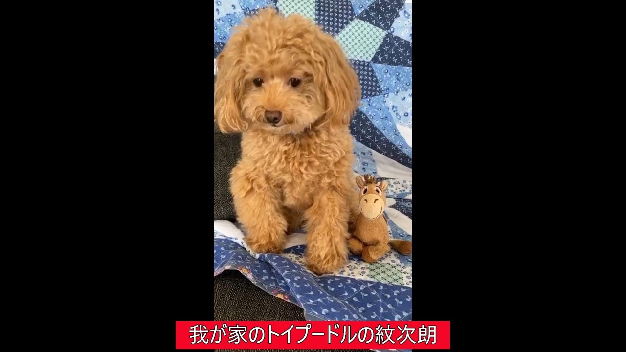 紋次朗