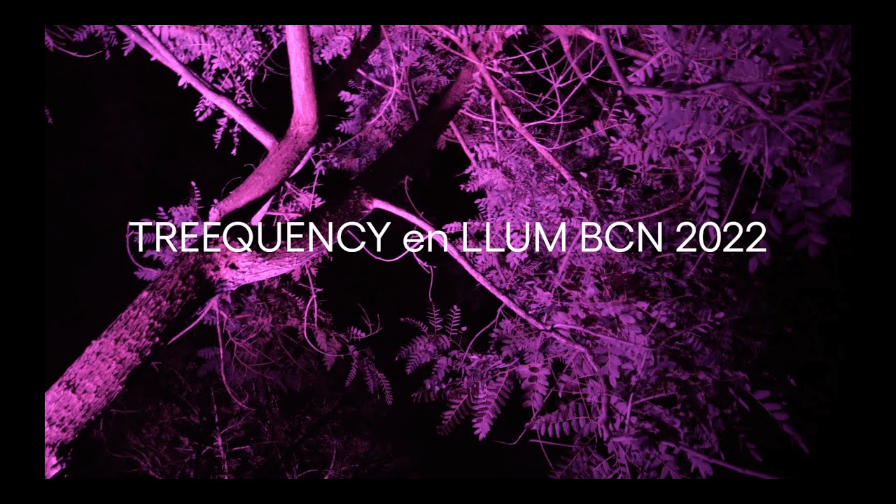 Treequency - Llum BCN 2022 | IED Barcelona