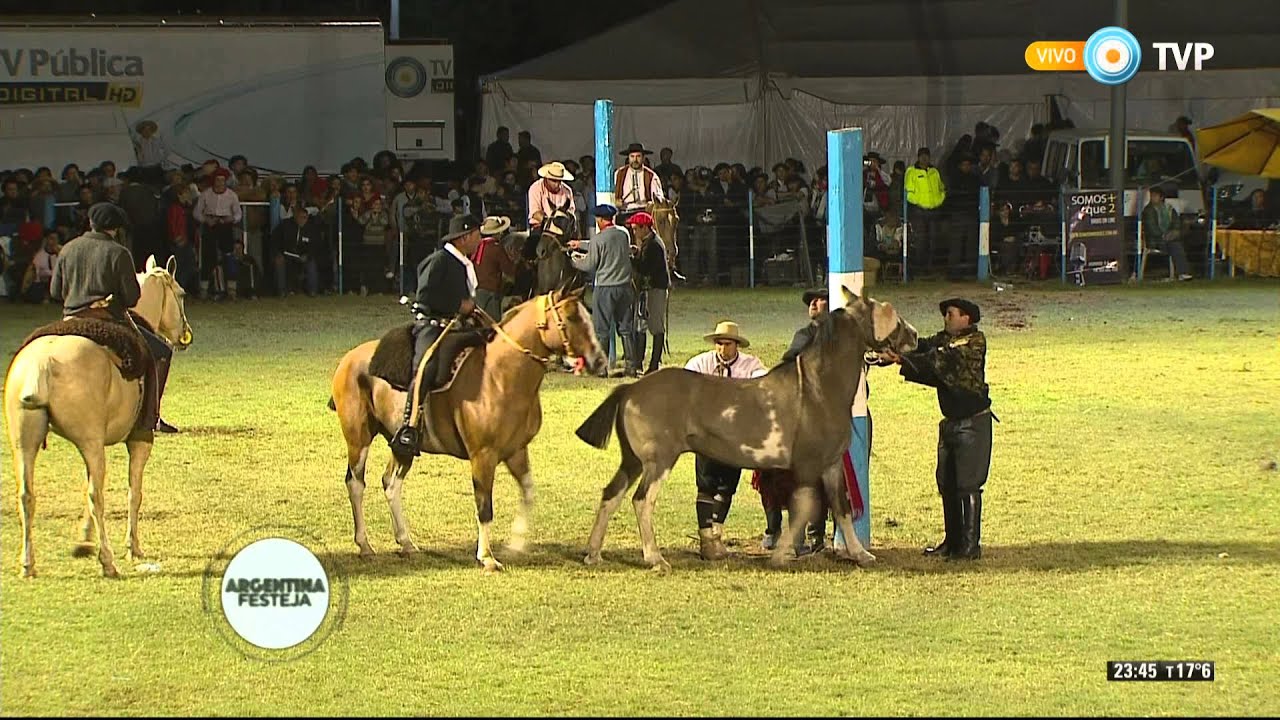 Doma en la Fiesta Nacional  del Cald&eacute;n 2016 (Tanda 1)
