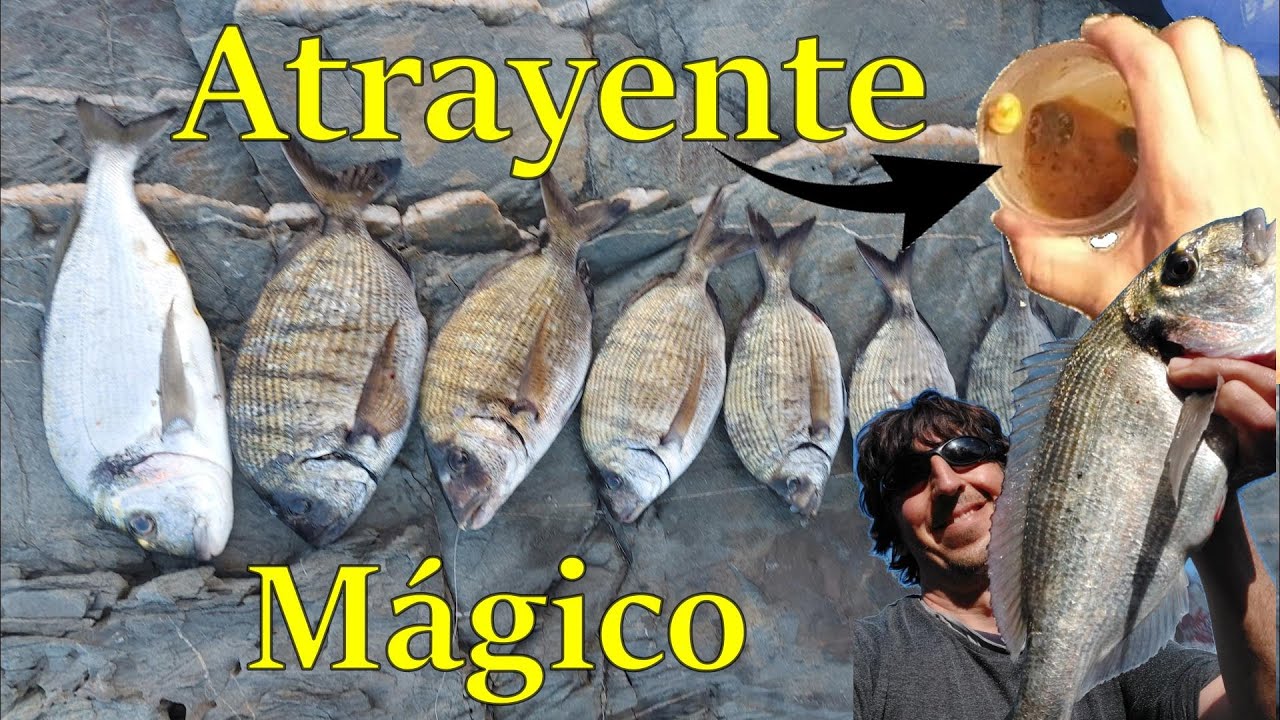 Con este atrayente pescarás todo lo que quieras.