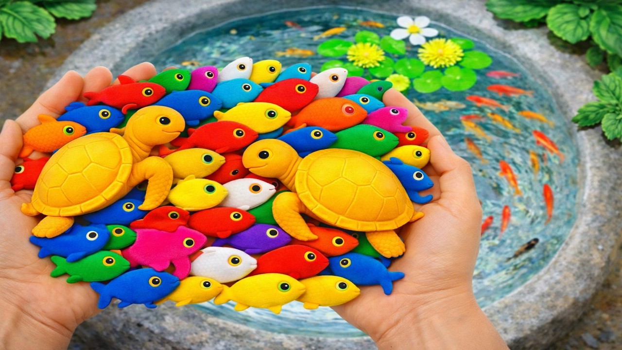 Amazing Catching Catfish, Baby Arowana, Perch, Koi, Guppies, Ornamental Fish, Frogs  Fishing Videos