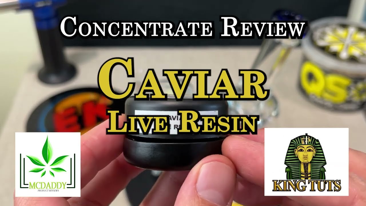 Concentrate Review - Caviar Live Resin - King Tuts