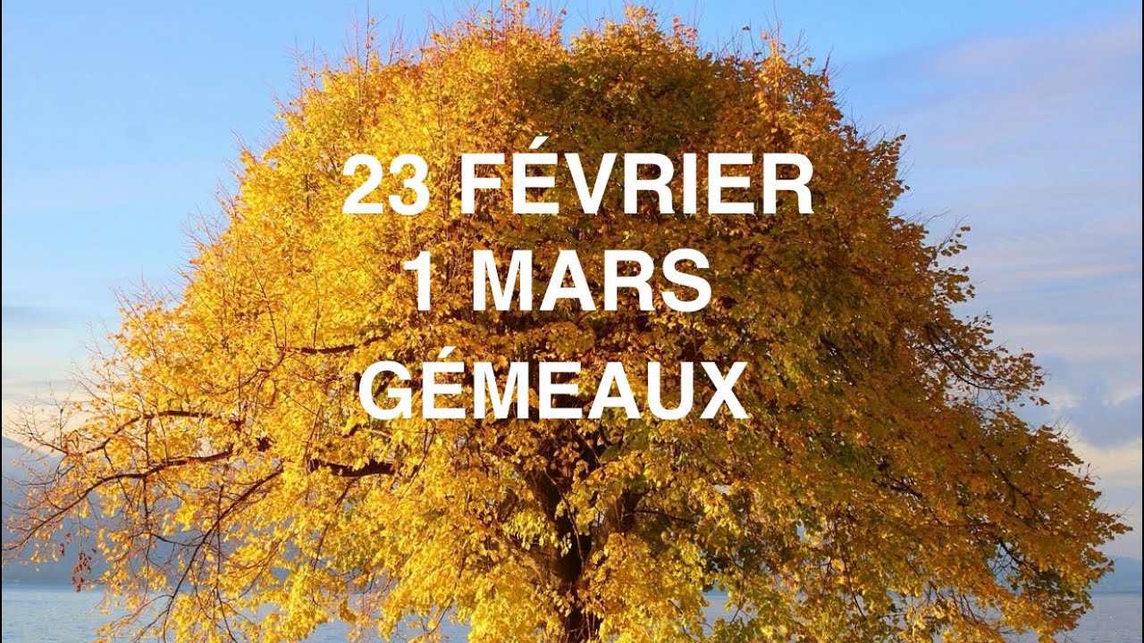 G&Eacute;MEAUX 23 F&Eacute;VRIER /1 MARS                             MA PLUS BELLE REVANCHE 