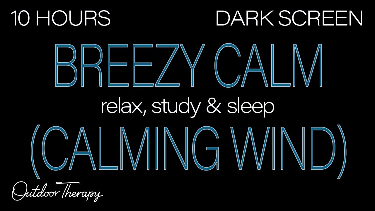 Breezy Calm | CALMING WIND Sounds for Sleeping| Relaxing| Studying| BLACK SCREEN | Real Storm Sounds