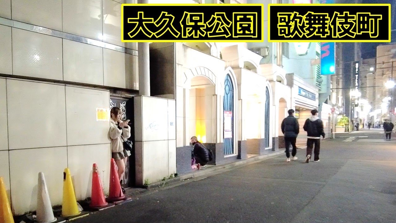 【新宿区歌舞伎町】寒空の下、頑張る？たちんぼ大久保公園トー横　Night Walk in Tokyo Shinjuku Kabukicho Okubo Park