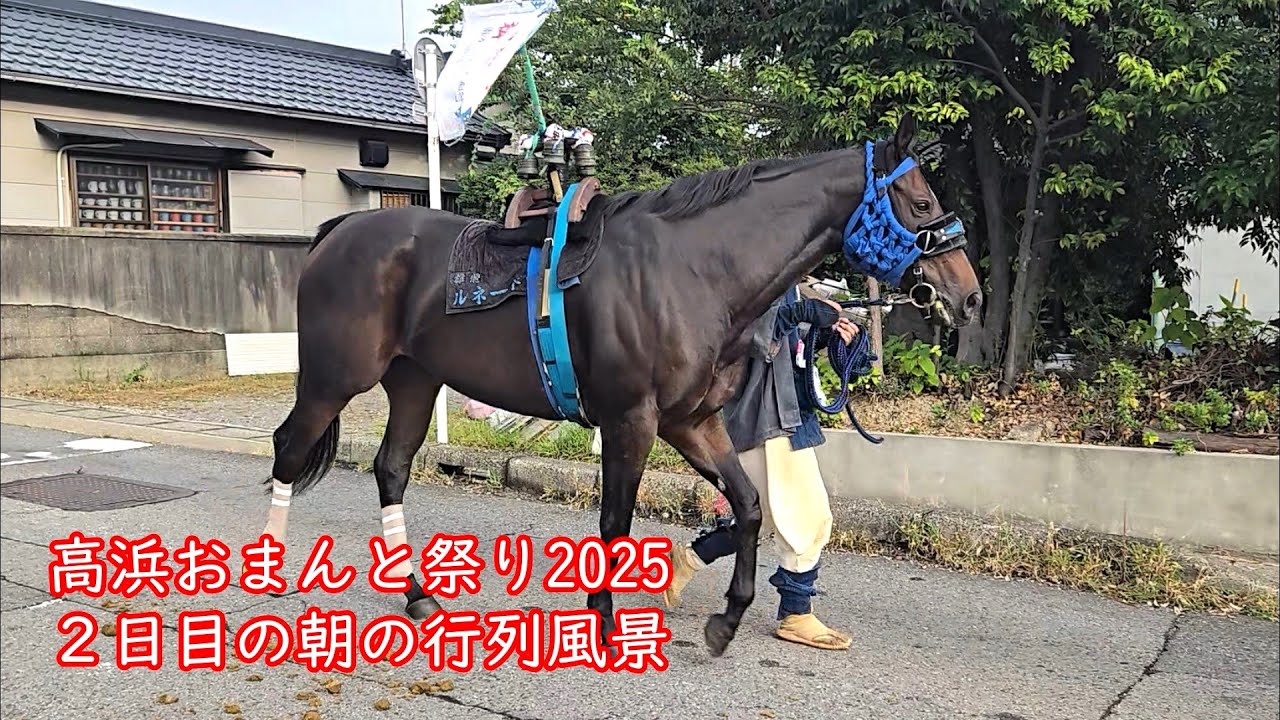 高浜おまんと祭り2025 2日目の朝の行列風景