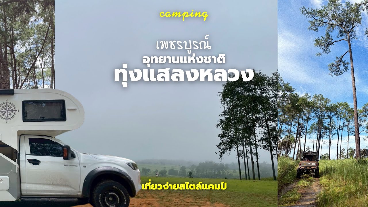 (38) นอนรถบ้านที่อุทยานทุ่งแสลงหลวง ดูป่าสนสองใบทุ่งนางพญาเมืองเลน | เที่ยวง่ายสไตล์แคมป์