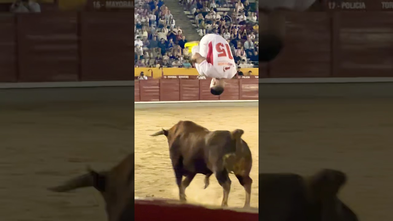 SALTO MORTAL A UN TORO BRAVO #tricks #bull #jump