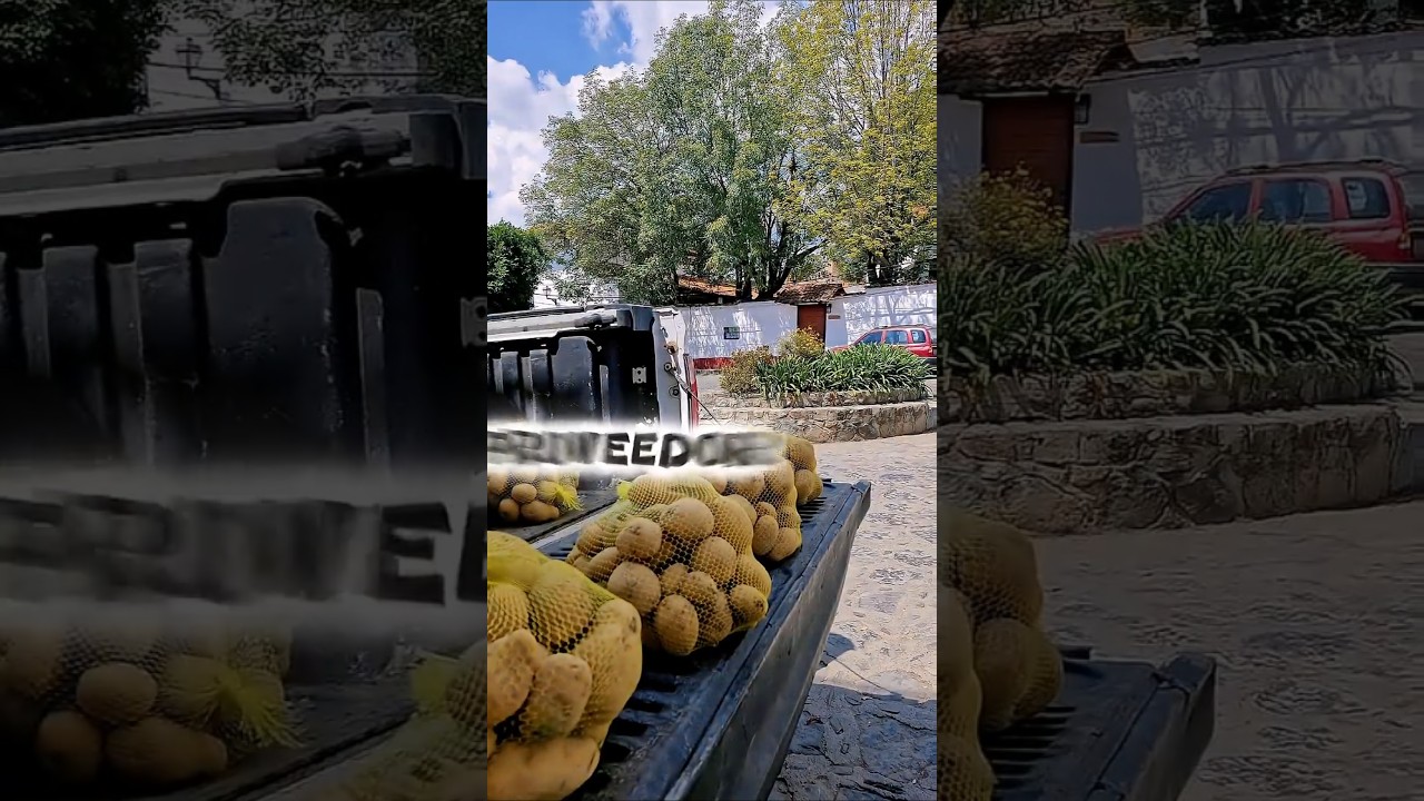 Y tú, qué APORTAS? 