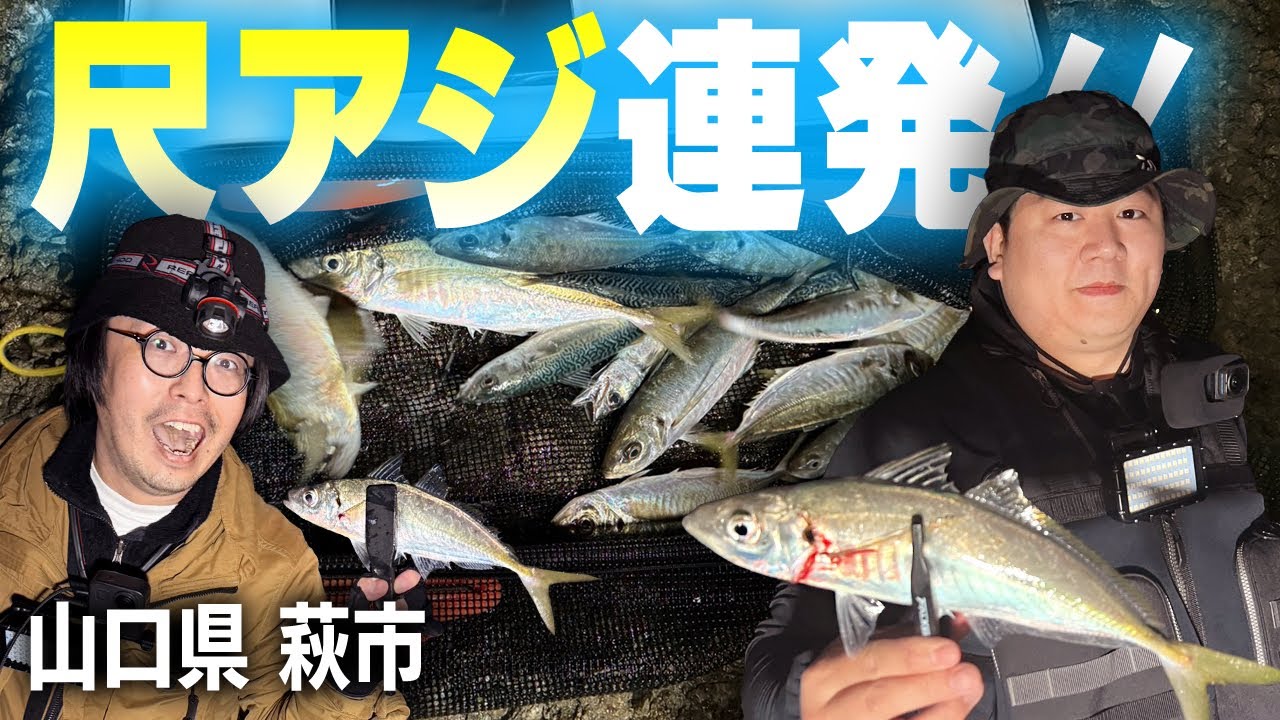 尺鯵連発！ここまで釣れるか山口県萩市！ヒラメ狙いの泳がせ釣りに来たら泳がせサイズじゃないアジばかり釣れた！