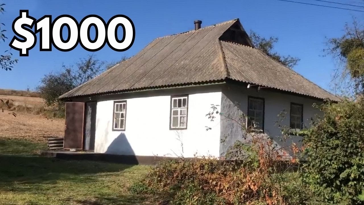 🏡 ХАТА В СЕЛІ ЗА $1000! ГАЗ, РІЧКА, 40 КМ ДО МІСТА 🌿
