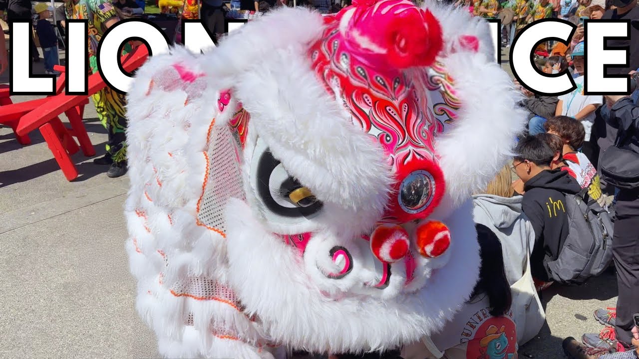 Lion Dance Festival 2024 in San Francisco Chinatown | Golden Turtle Lion Dance Association