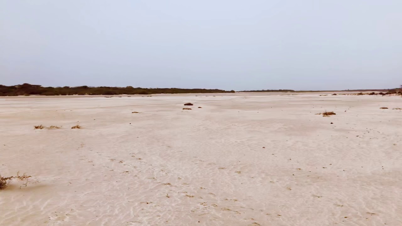 Mannar island