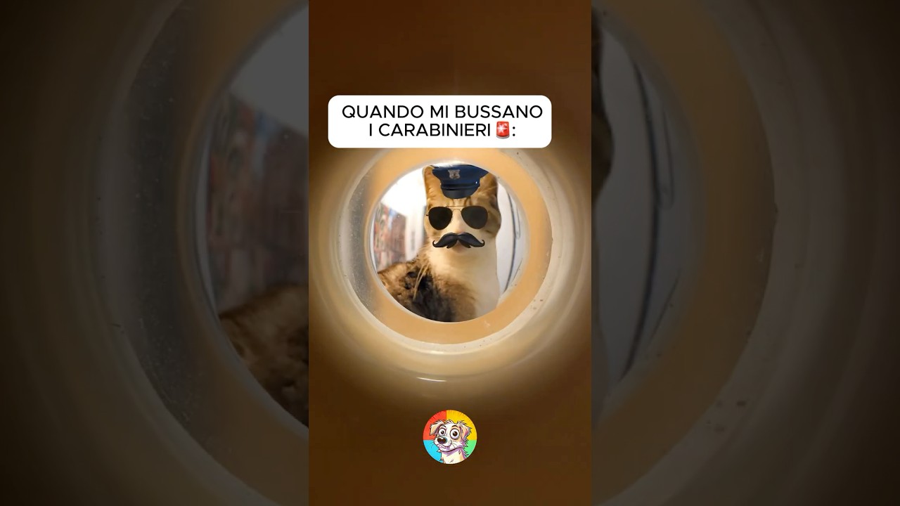 POV: QUANDO TI BUSSANO I CARABINIERI  