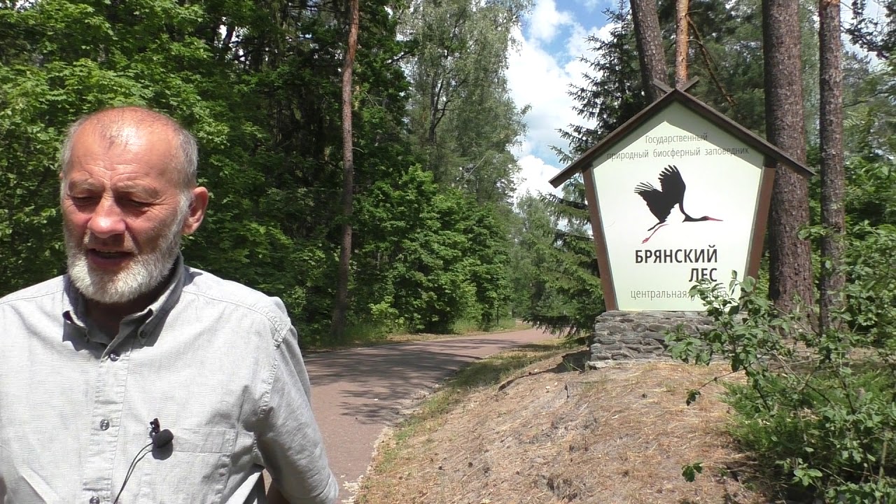 ПУТЕШЕСТВИЕ по БРЯНСКОЙ обл. с прицепом.
