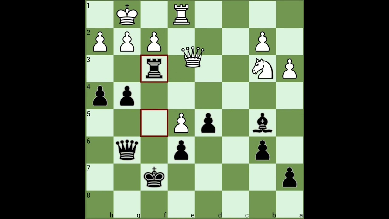 Kasparov's Greatest Chess Game V1 | Kamsky vs Kasparov (1989)
