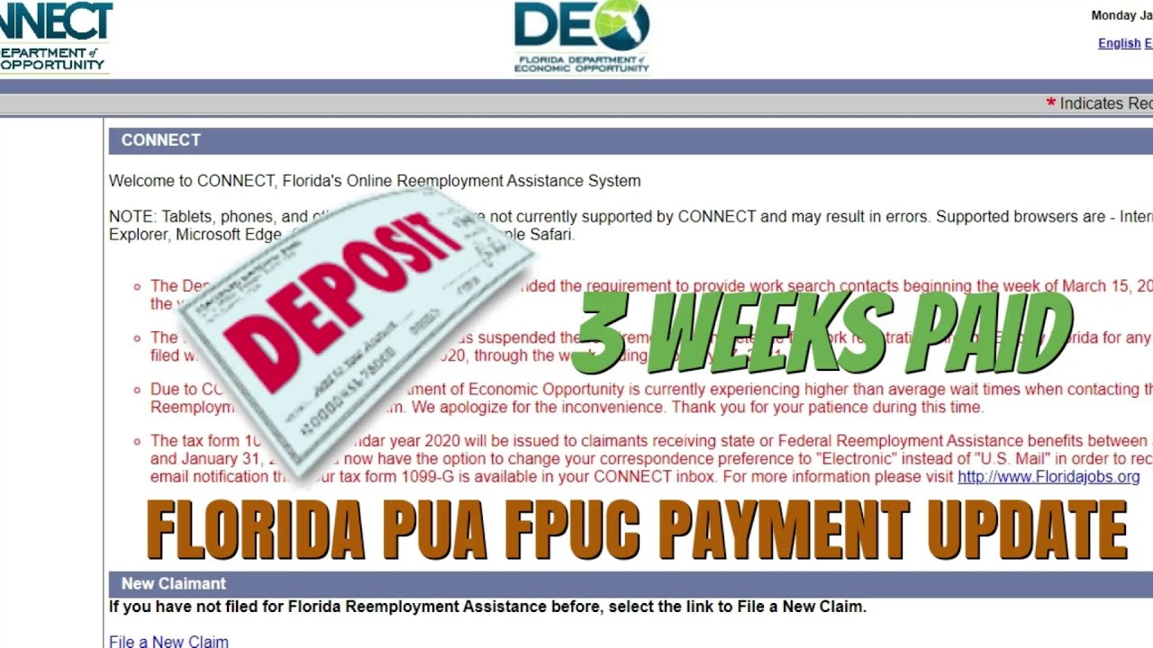 Florida PUA 💲300 FPUC 3 Weeks Paid DEO Unemployment Reemployment Benefits Extension Payment Update✔️