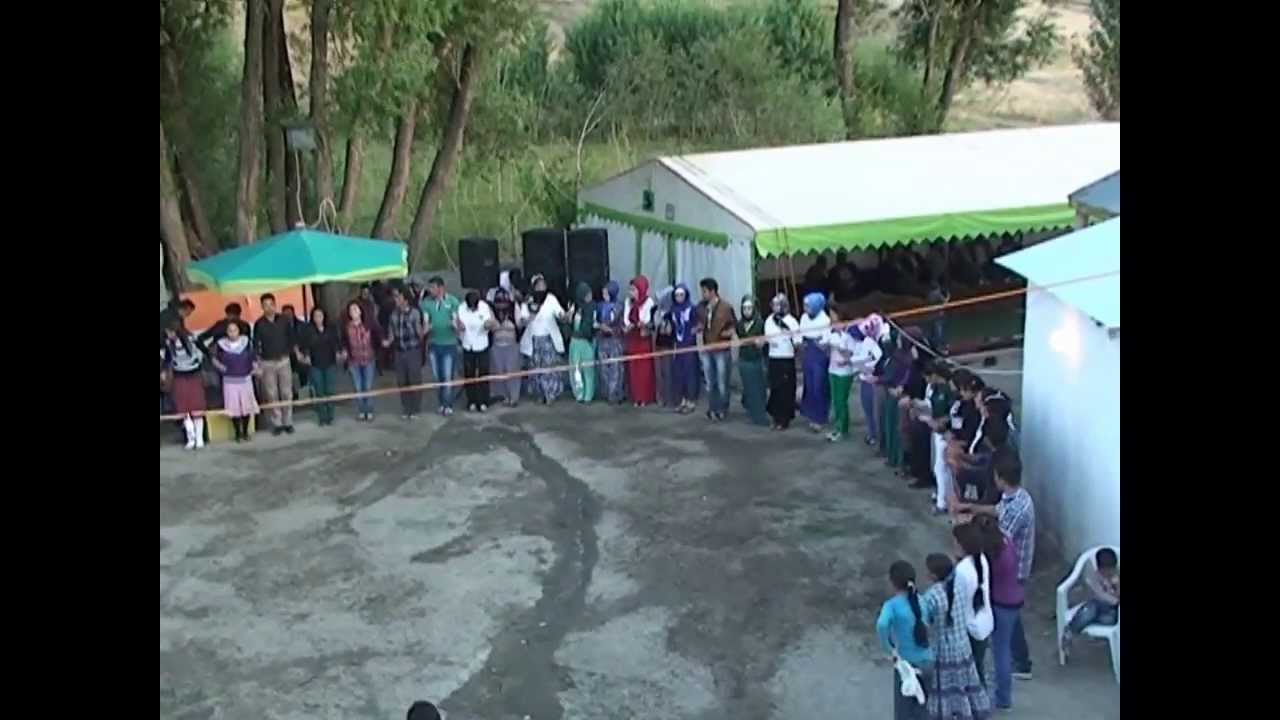 hozan feyzo  şiğrom düğünü