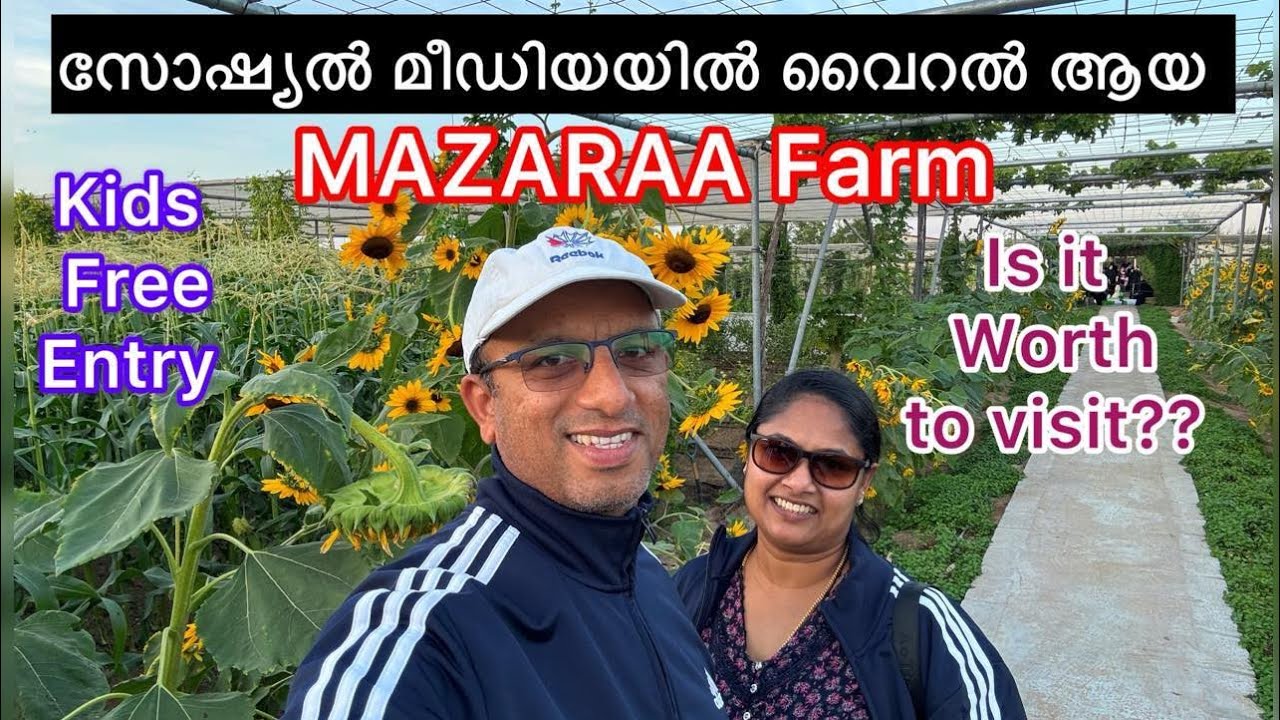 Mazaraa Farm Abu Dhabi | 100% organic shop and cafe in Al Bahyah, UAE | must visit hidden gem.