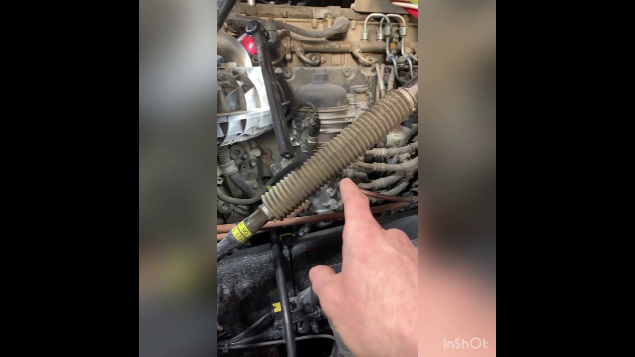 Freightliner cascadia 2019 coolant line replacement ocm to air compressor. busted knuckle diesel Dr.
