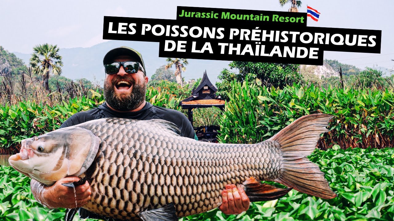 Pêcher la carpe siamoise en Thaïlande | Roadfish - Saison 9 Épisode 6