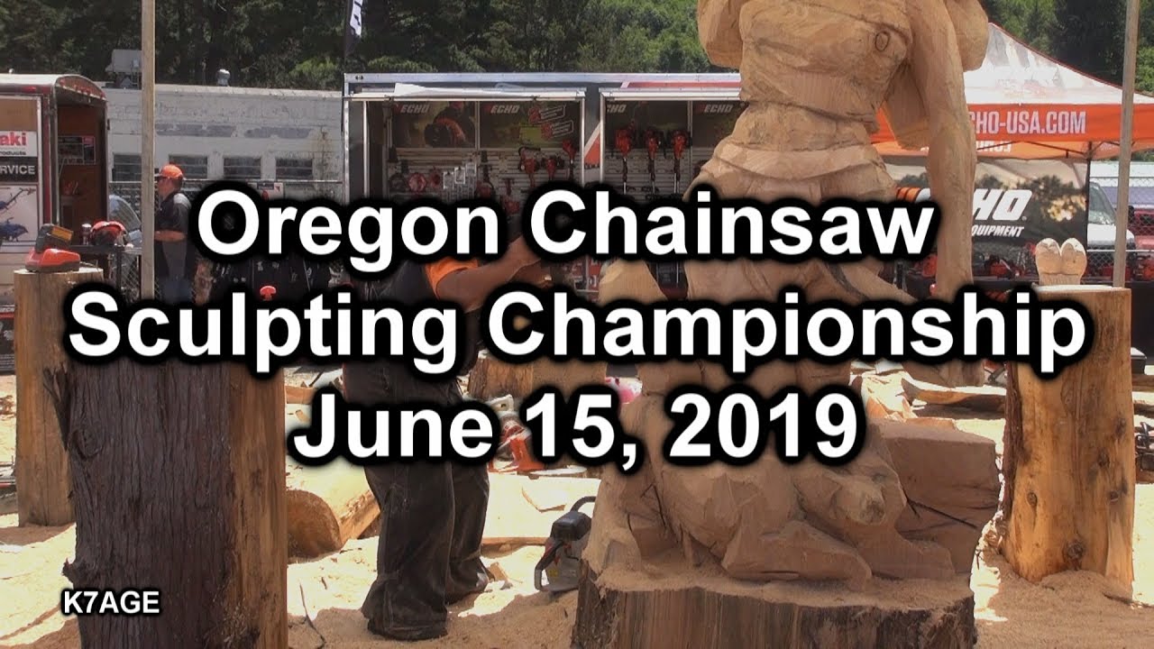 Sights and Sounds of Chain Saw Carving