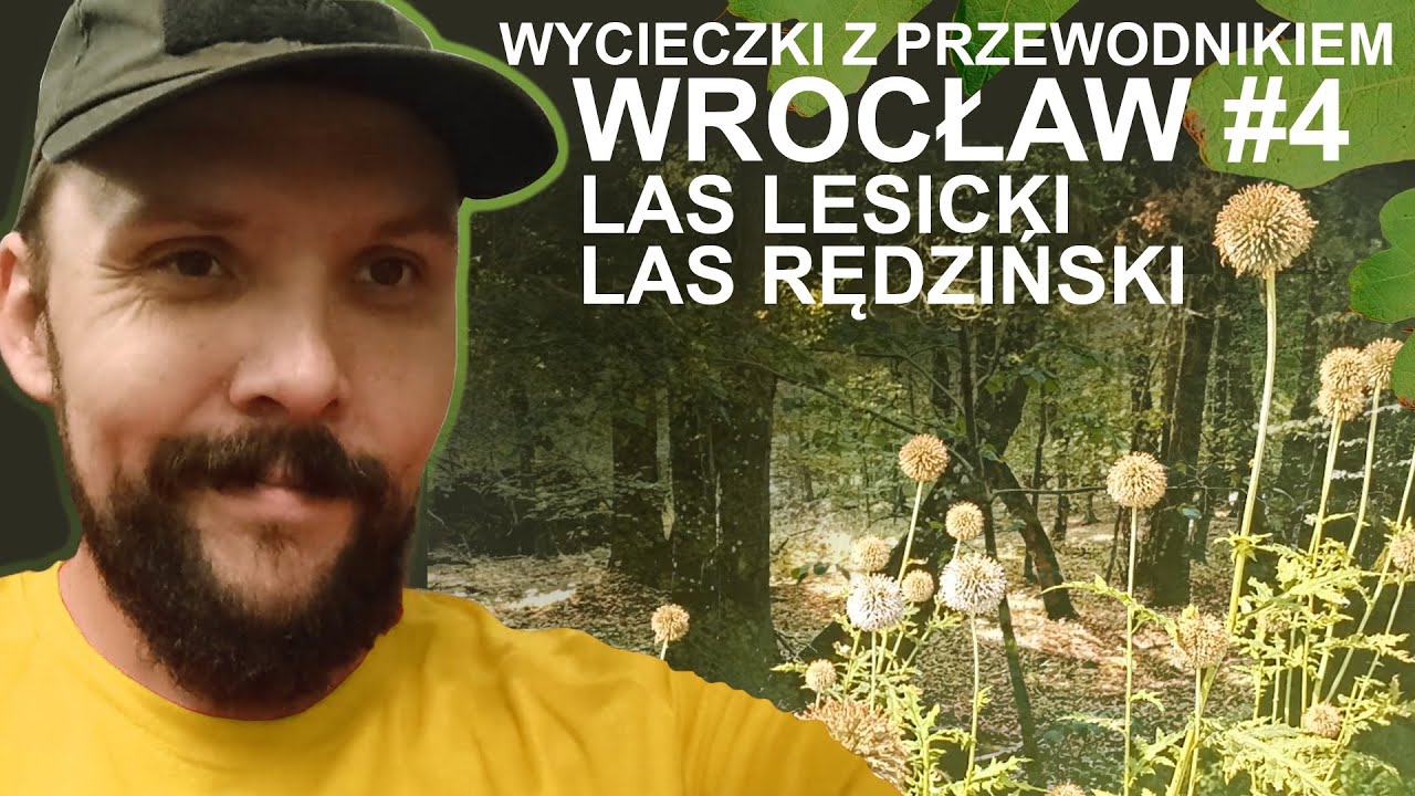 Wrocław: Świniary, Rędzin: Las Lesicki, Las Rędziński. Przewodnik Sudecki Jakub Grygier