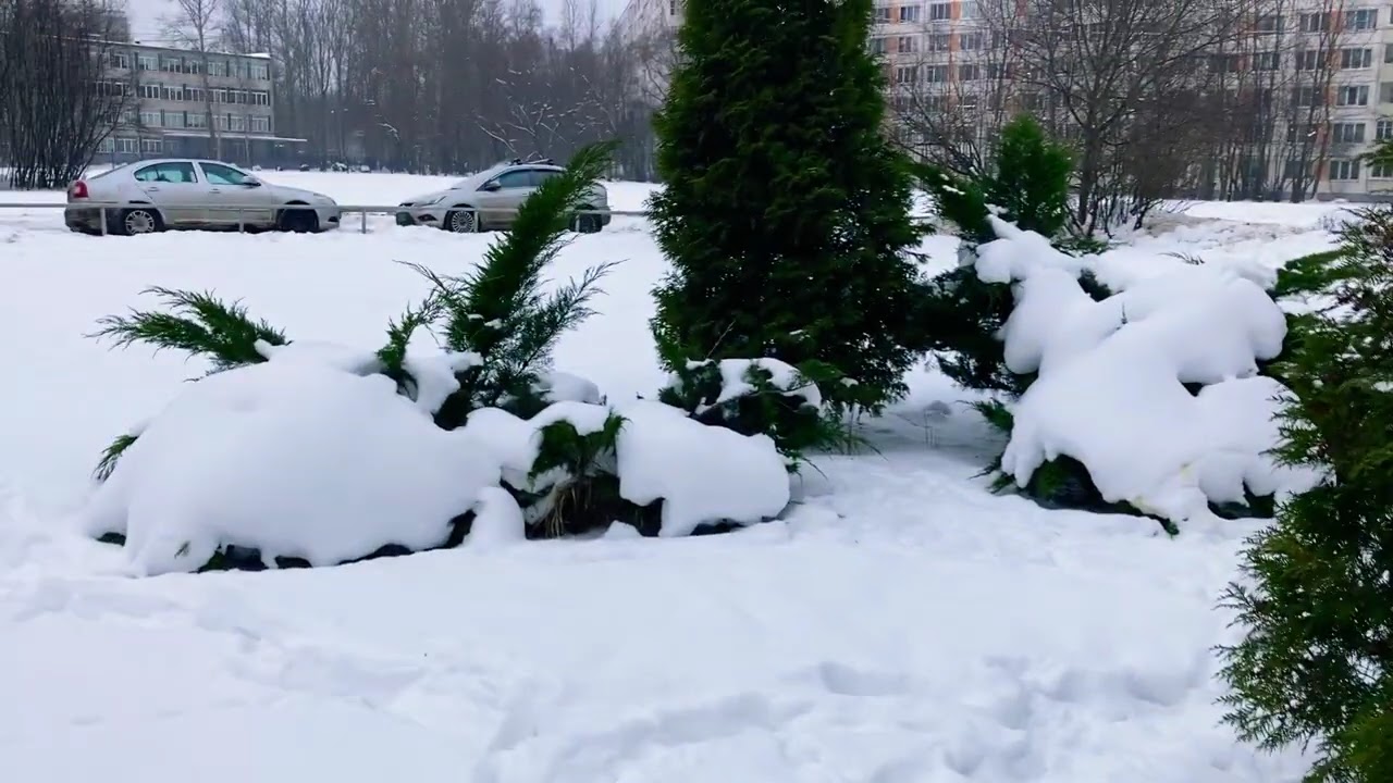 Всем доброго и прекрасного дня и Крещения Христова 19.1.-2 мира и любви 