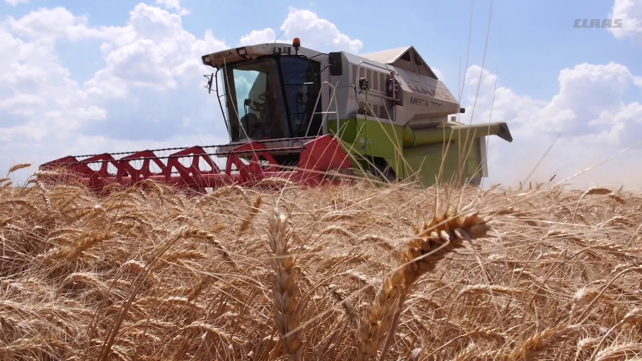 CLAAS Testimoniale fermieri 2017 - Combinatul Agroindustrial Curtici - jud.Arad