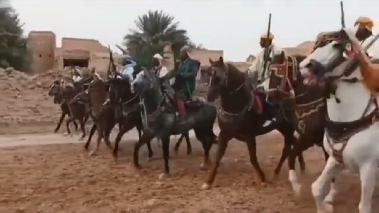 علفة الجيل الصاعد أنقوسة ولاية ورقلة 😍 ربي يجيب الحفظ 🇩🇿 خيول الفنتازيا 🇩🇿.... #video
