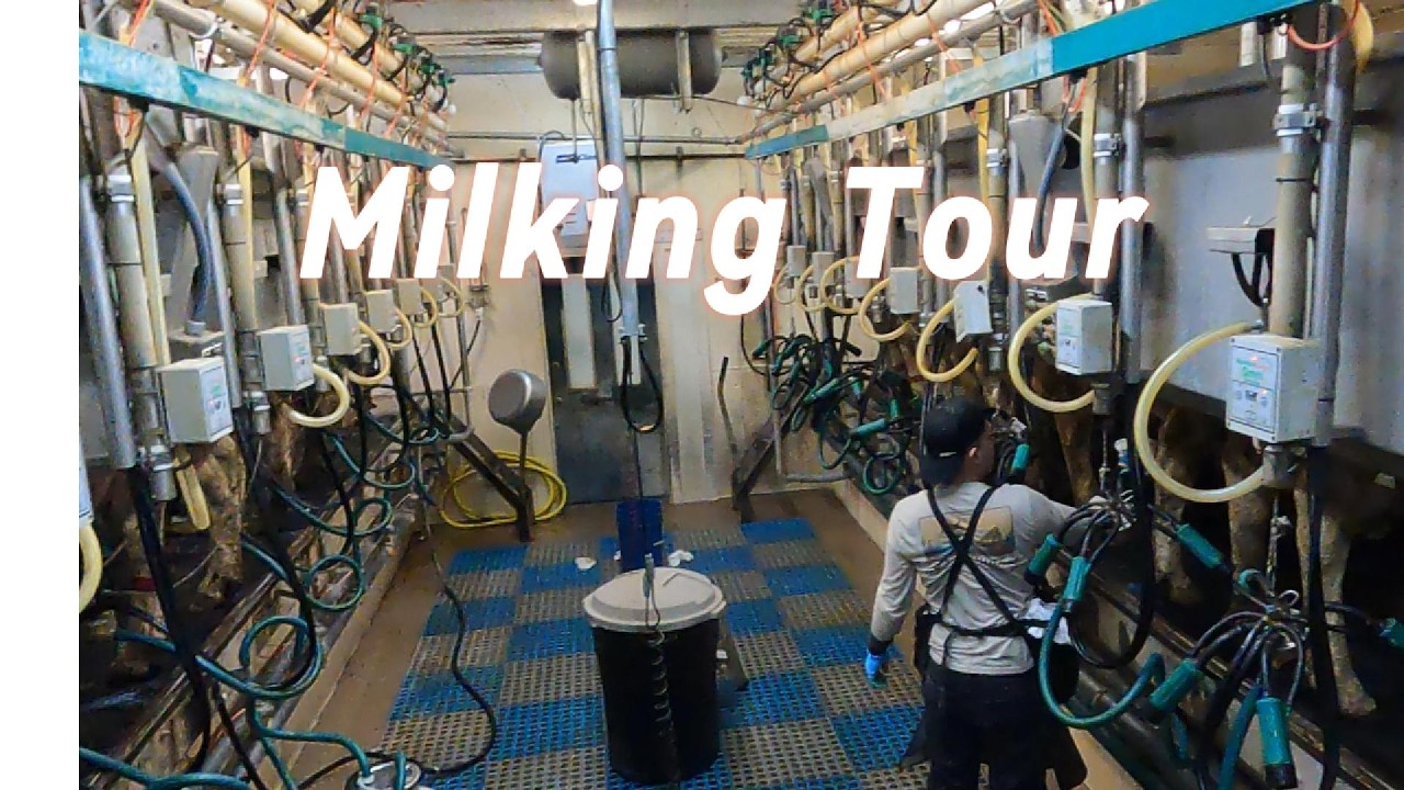 Barn/Milking Tour on My Family Farm