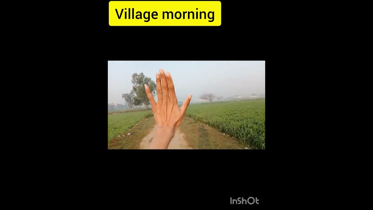 Morning walk| first vlog🥰😍