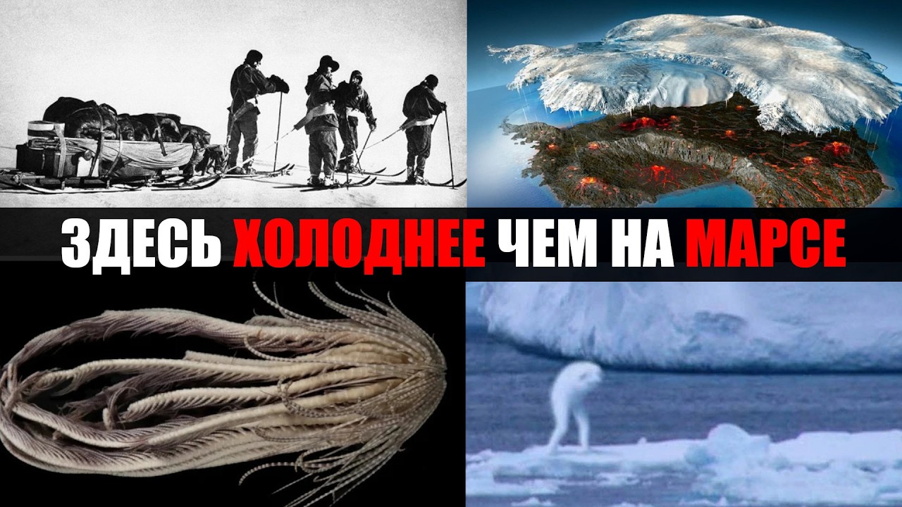 АЙСБЕРГ АНТАРКТИДЫ