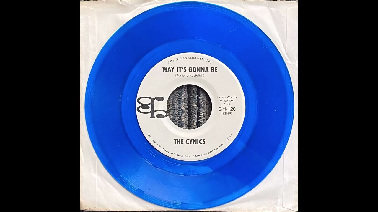 Way It's Gonna Be - The Cynics