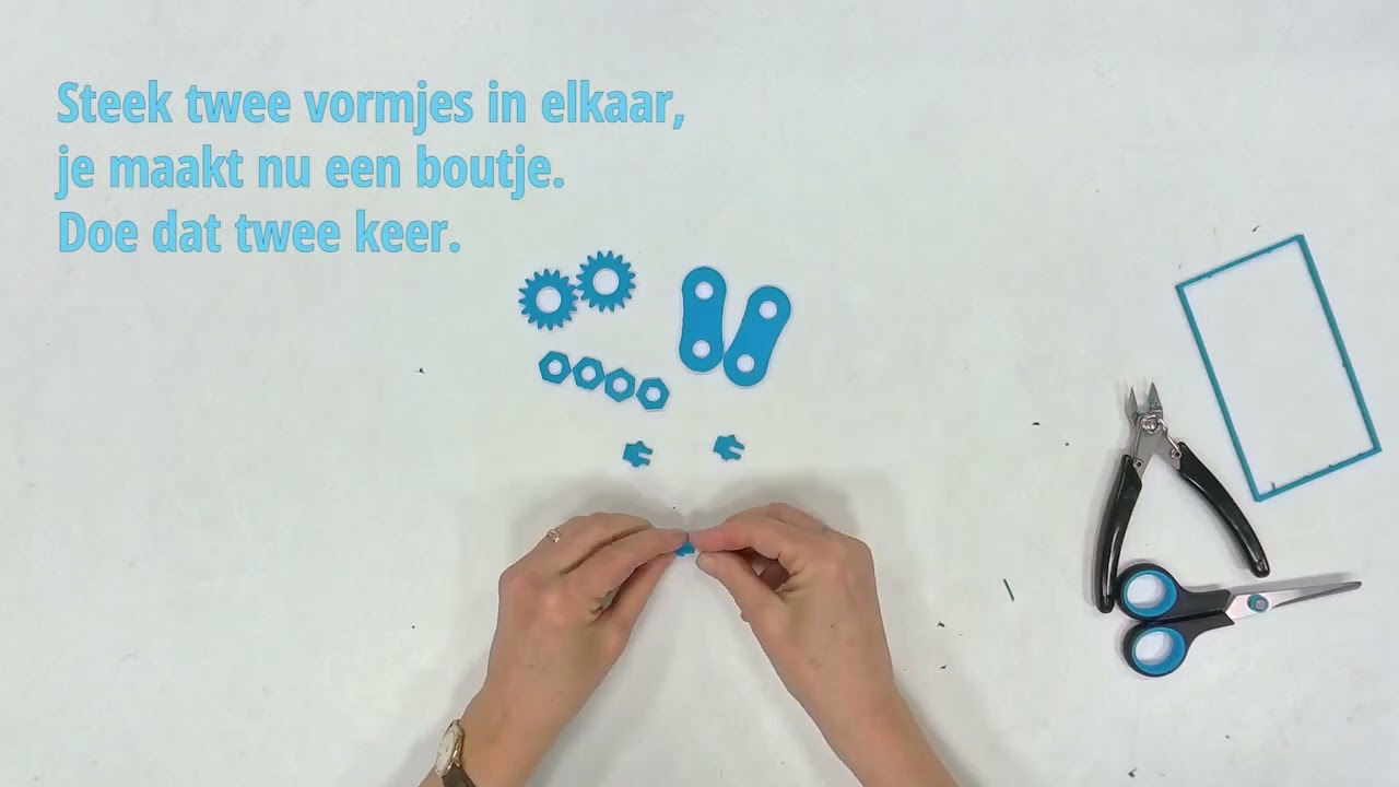 Het Rhedens Dieren: fidget toy!