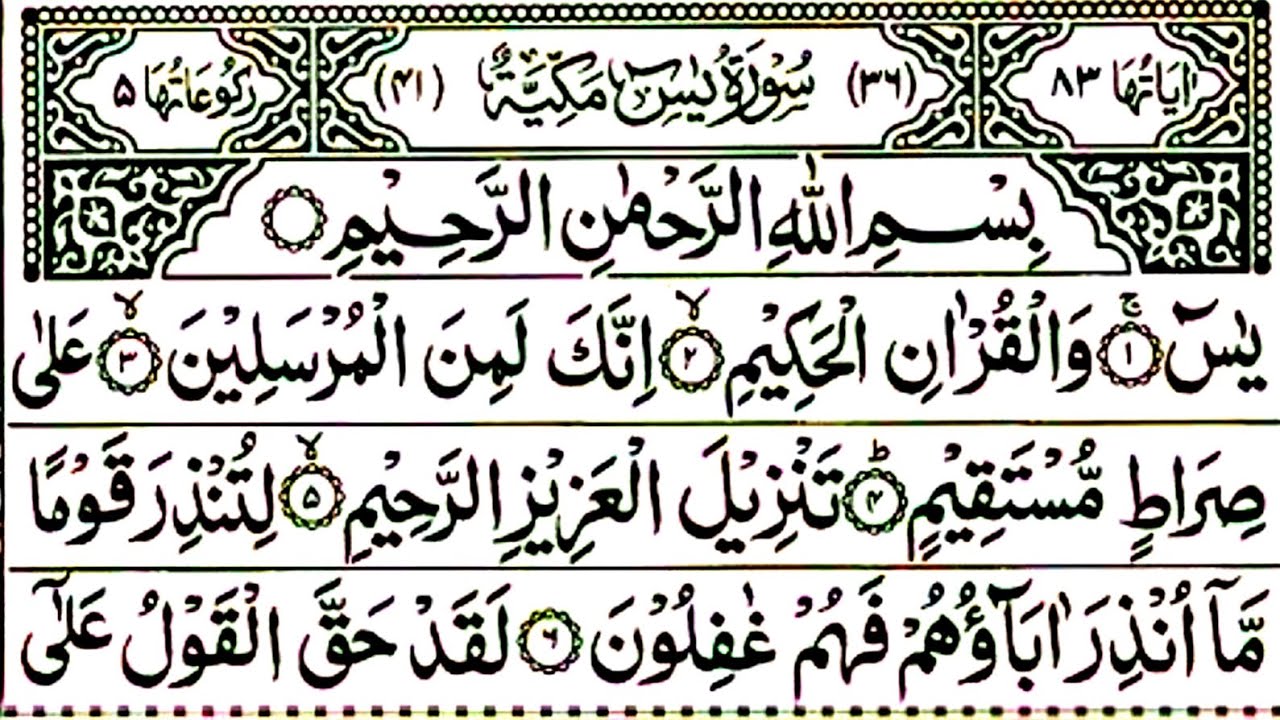 Surah Yaseen Surah Rahman Tilawat 163| ऐसी तिलावत जिसे सुन कर आप का 🫀दिल मचल जाएगा आपको सुकून मिलेगा