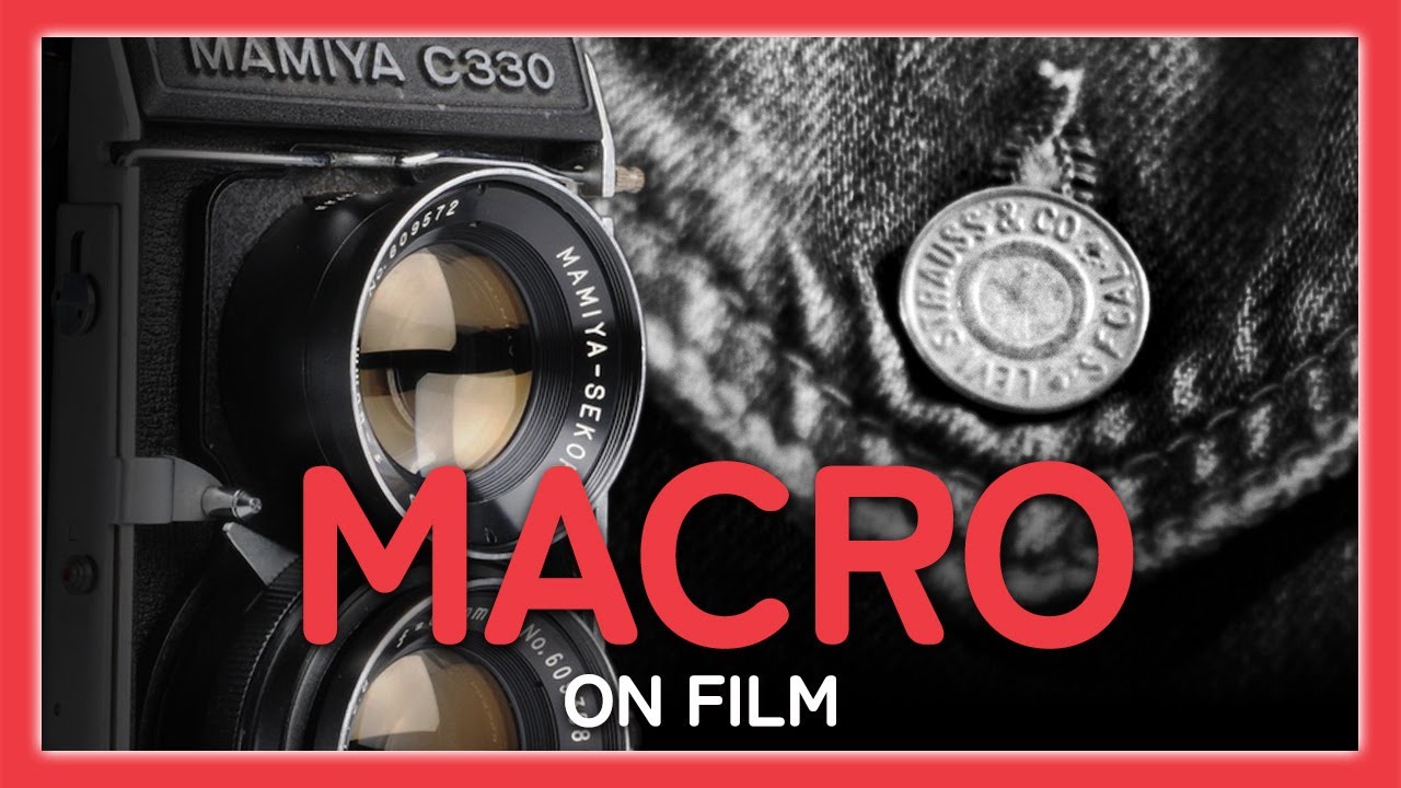 Master Macro Photography on Film with the Mamiya C330 and Platypod