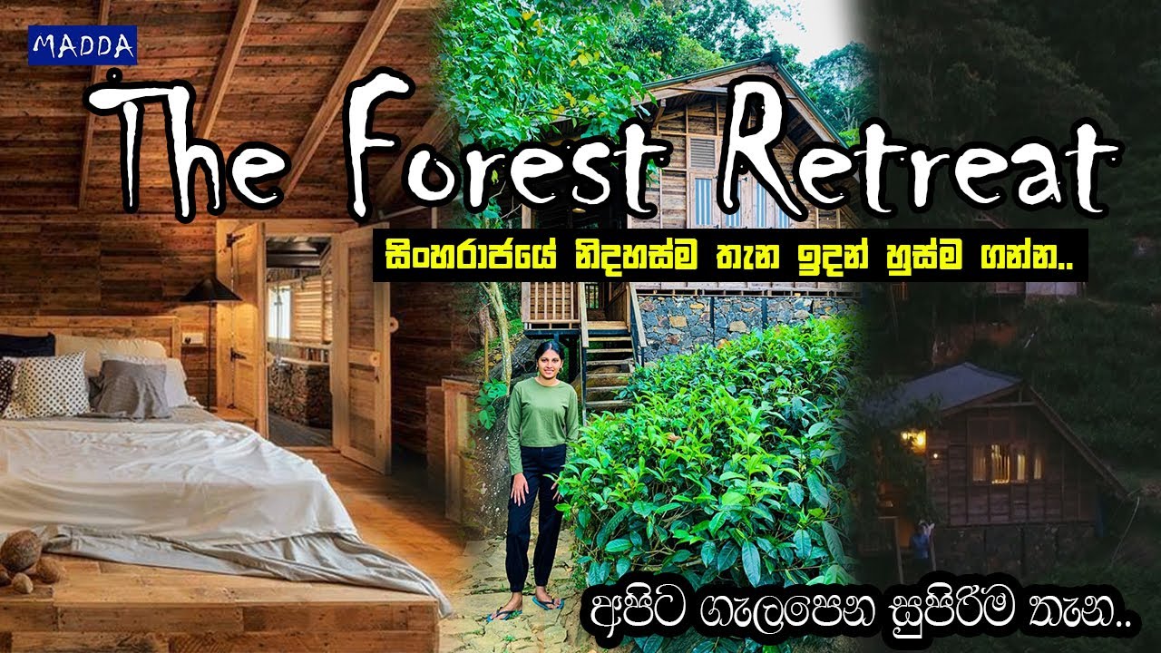 A heavenly place to spend a night at Deniyaya | The Forest Retreat | MADDA Travel Vlog #16