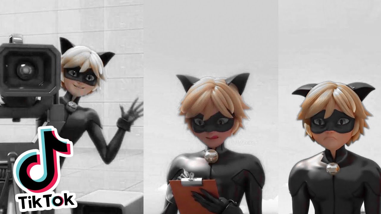 MIRACULOUS LADYBUG THE BEST TIK TOK EDITS