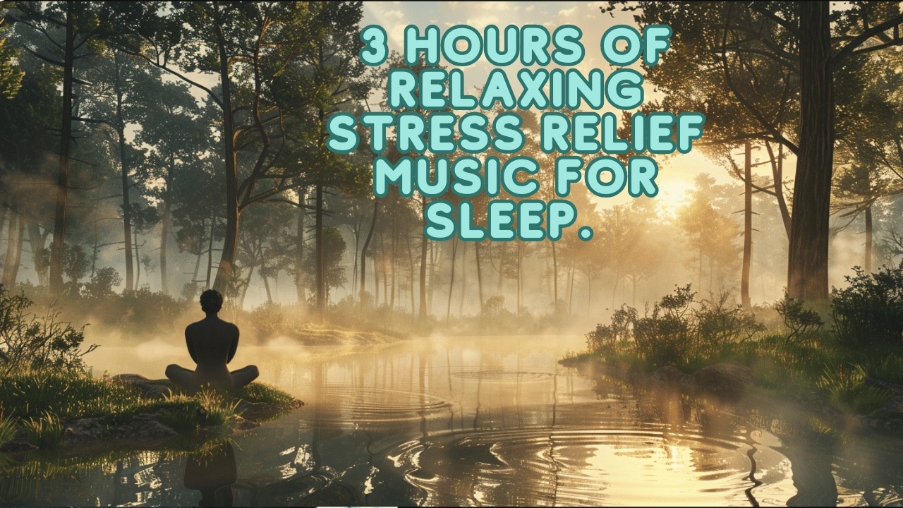 3 Hours of Relaxing Sleep Music for Stress Relief, Sleeping & Meditation tropical oasis sleep better