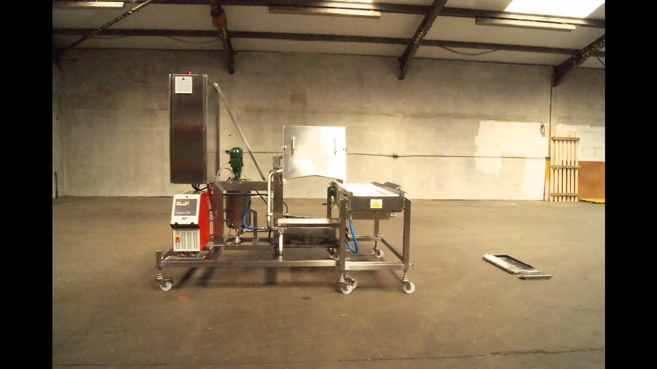 DM1S system video