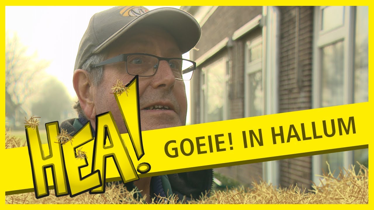 HEA! Goeie! in Hallum