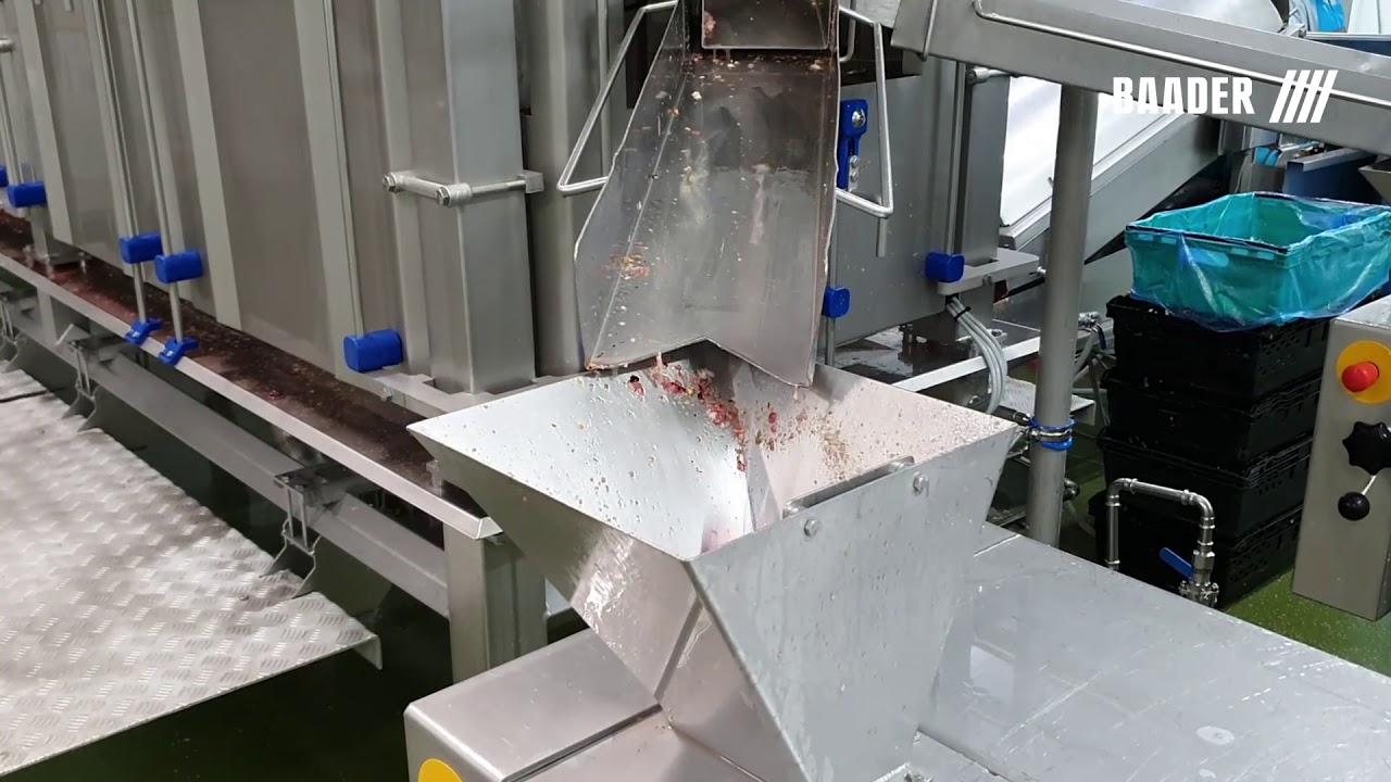 VID 40 Gizzard Processor 392 animation